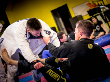 bjj_preview.png
